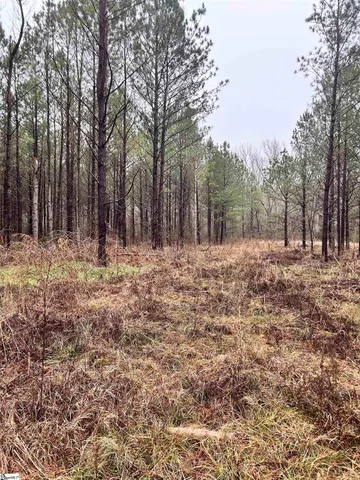 $1,049,685 | 0 Columbia Road, Edgefield, SC 29824