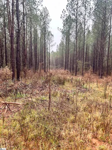 $1,049,685 | 0 Columbia Road, Edgefield, SC 29824