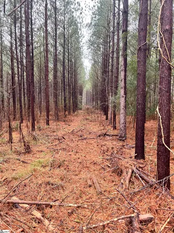 $1,049,685 | 0 Columbia Road, Edgefield, SC 29824