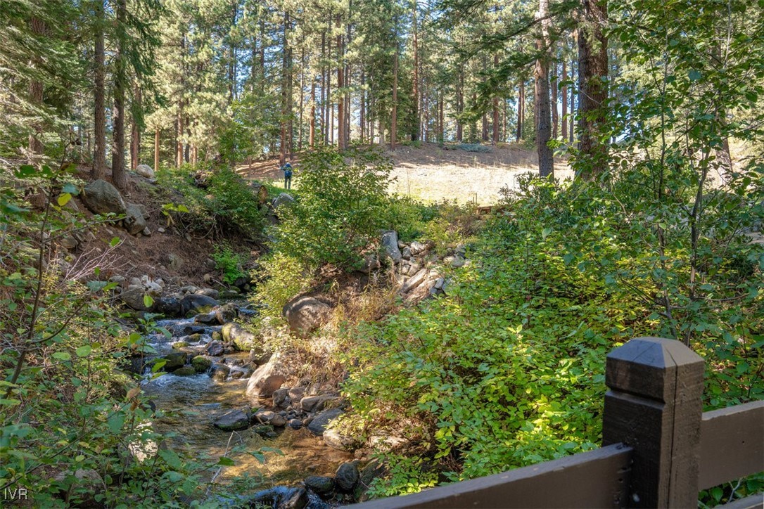 951 Divot Court Incline Village, NV 89451 - Photo 32 of 50