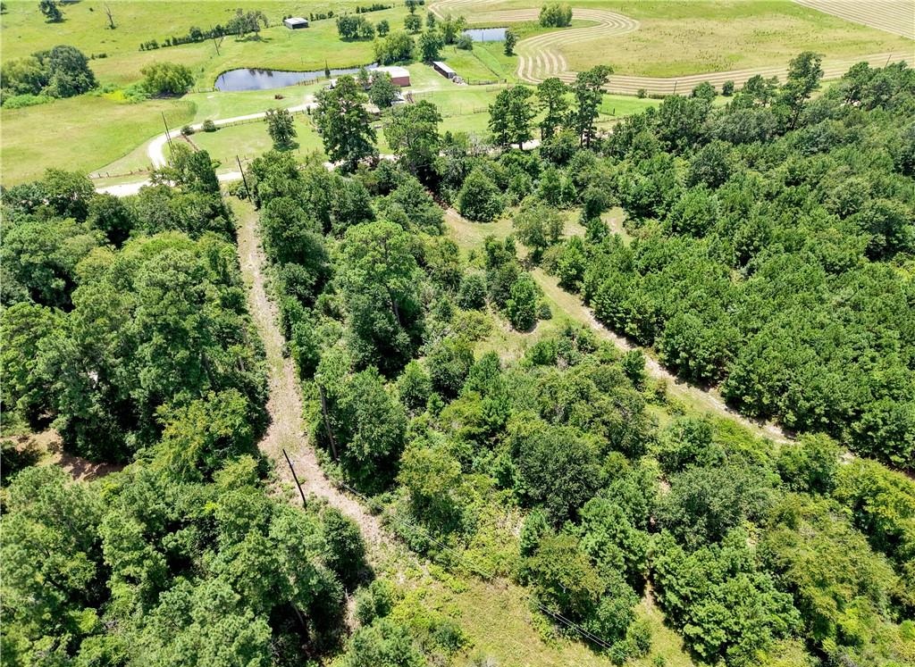 3656 Luthe Road Anderson, TX 77830 - Photo 10 of 13 Gallery Image 10
