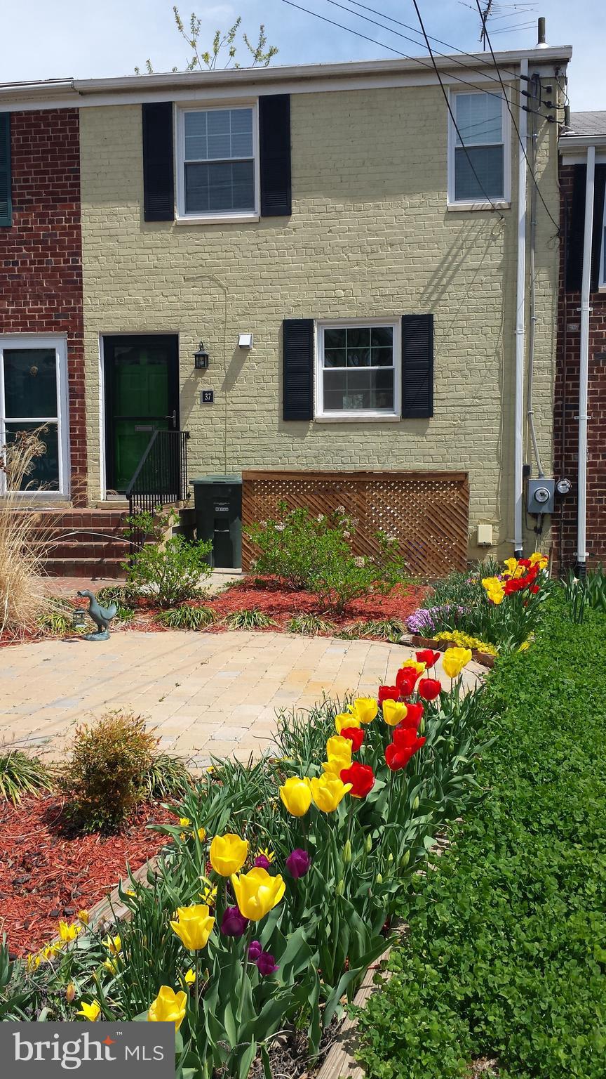 a front view of house and yard with beautiful flowers and green space