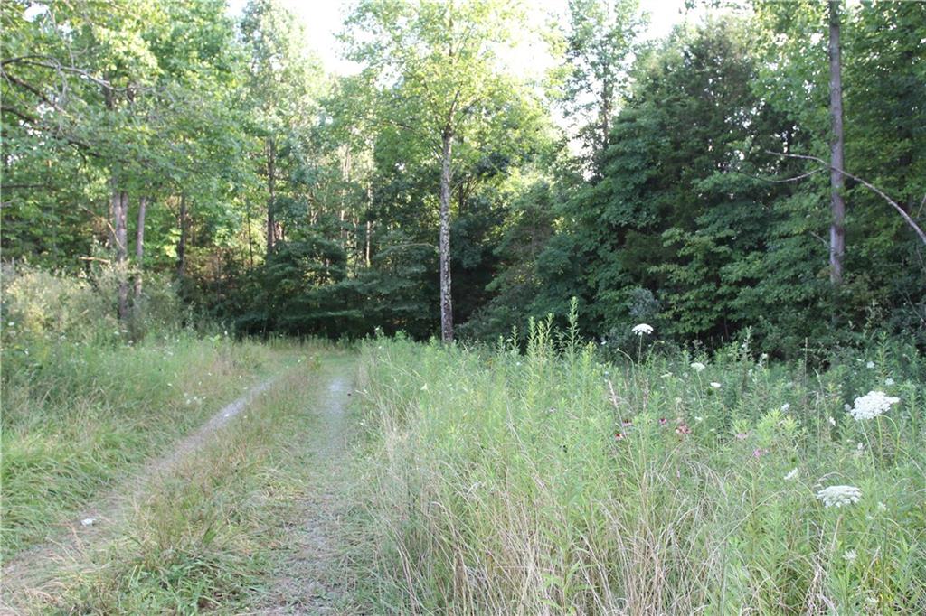 8767 Georgetown Road Columbus, IN 47201 - Photo 45 of 48