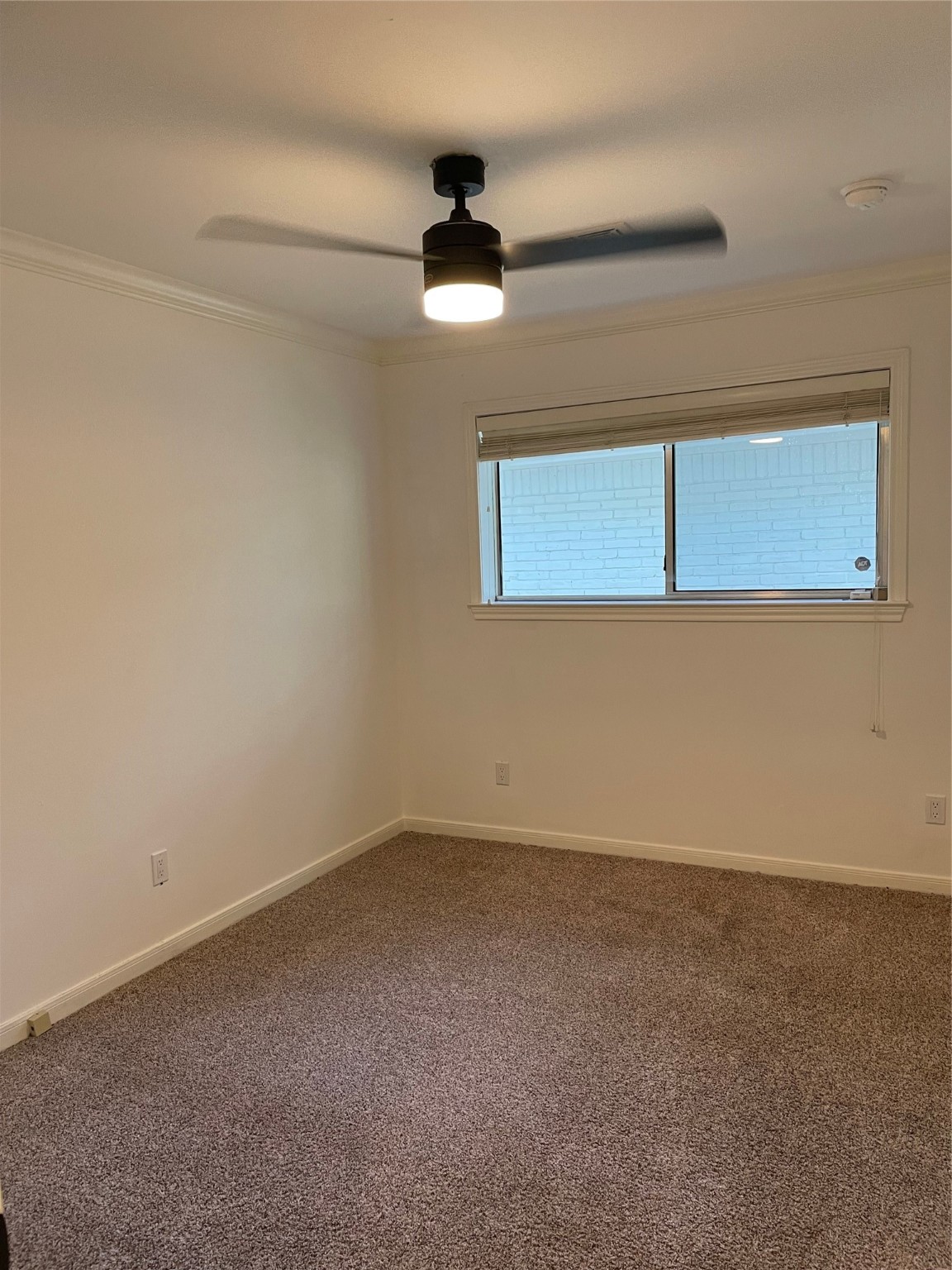 5518 Indigo Street Houston, TX 77096 - Photo 10 of 19