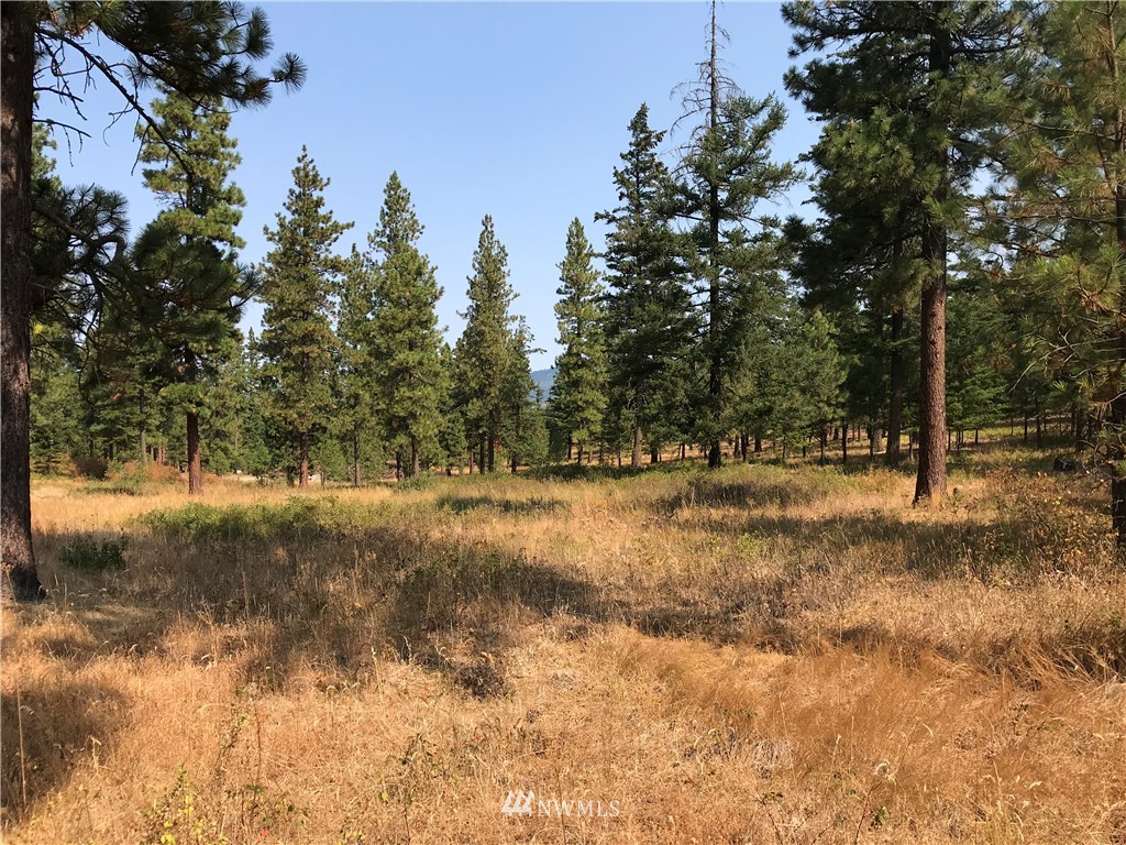 1503 Masterson Road Cle Elum, WA 98922 - Photo 1 of 4 Gallery Image 1