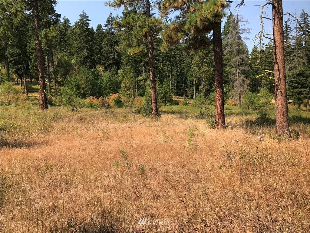 1503 Masterson Road Cle Elum, WA 98922 - Photo 2 of 4 Gallery Image 2