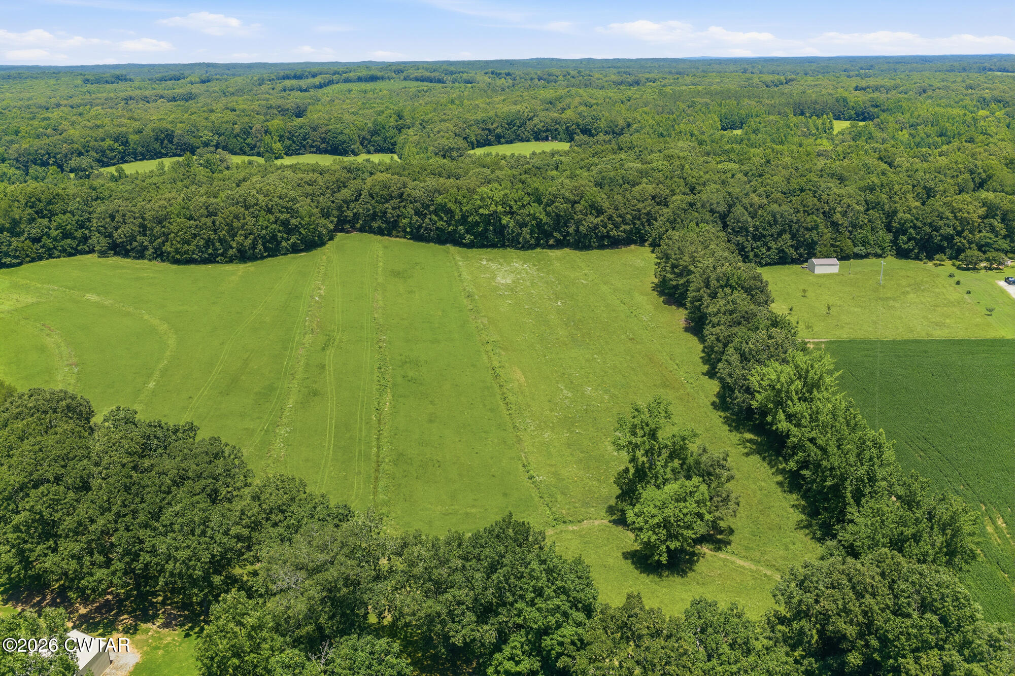 3685 Henderson Road Sardis, TN 38371 - Photo 17 of 31 DJI_20260619124521_0348_D