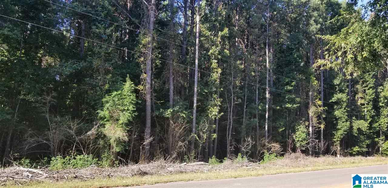 Lot 21 Mooney Road, Unit 21 Jemison, AL 35085 - Photo 1 of 1