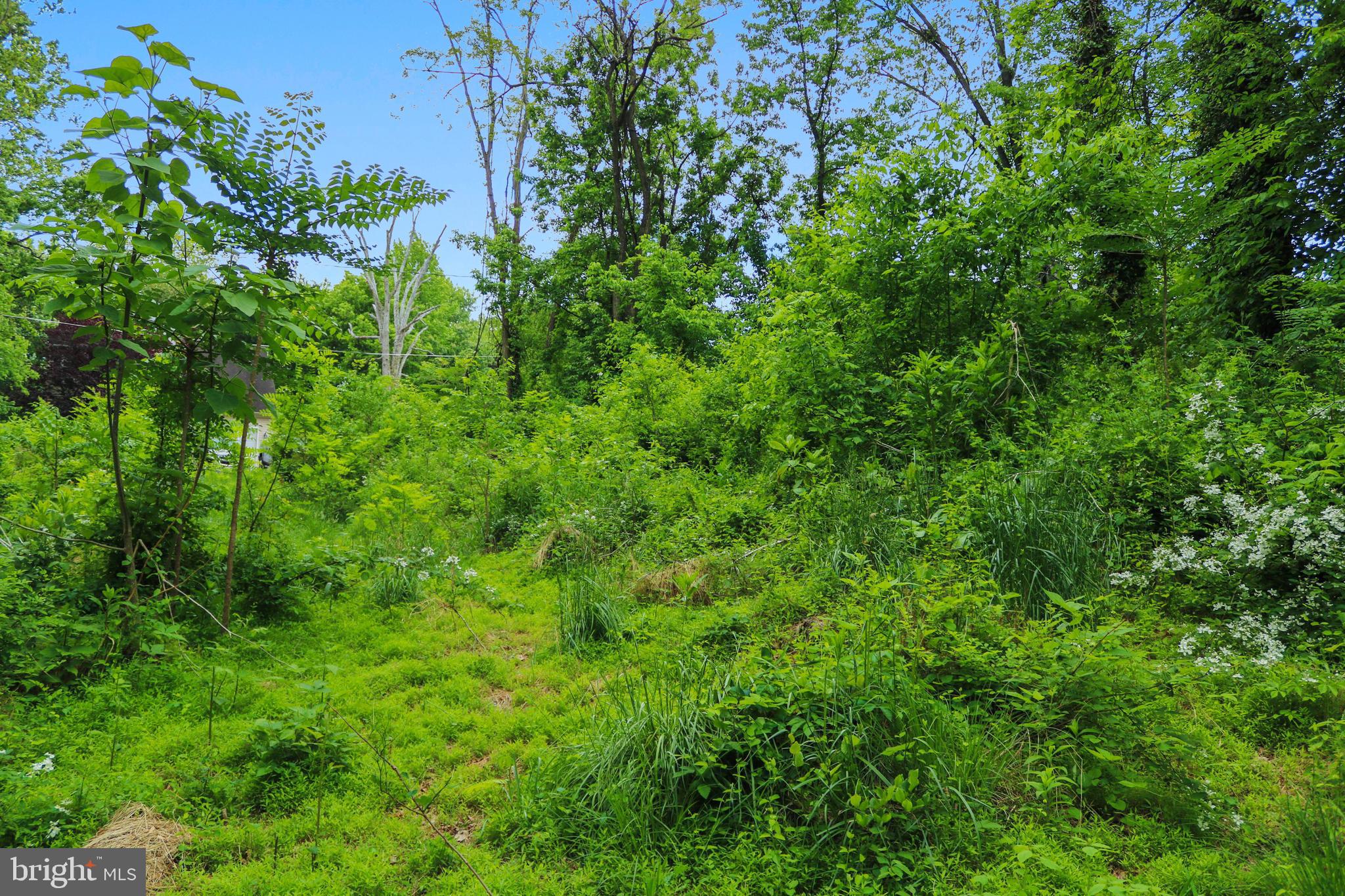 Evan Avenue Aberdeen, MD 21001 - Photo 62 of 74 a view of a lush green forest