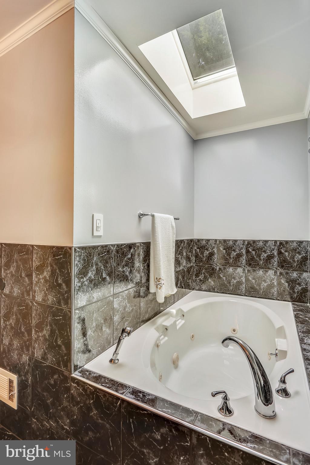 1956 Dundee Road Rockville, MD 20850 - Photo 20 of 34 soaking tub and skylite
