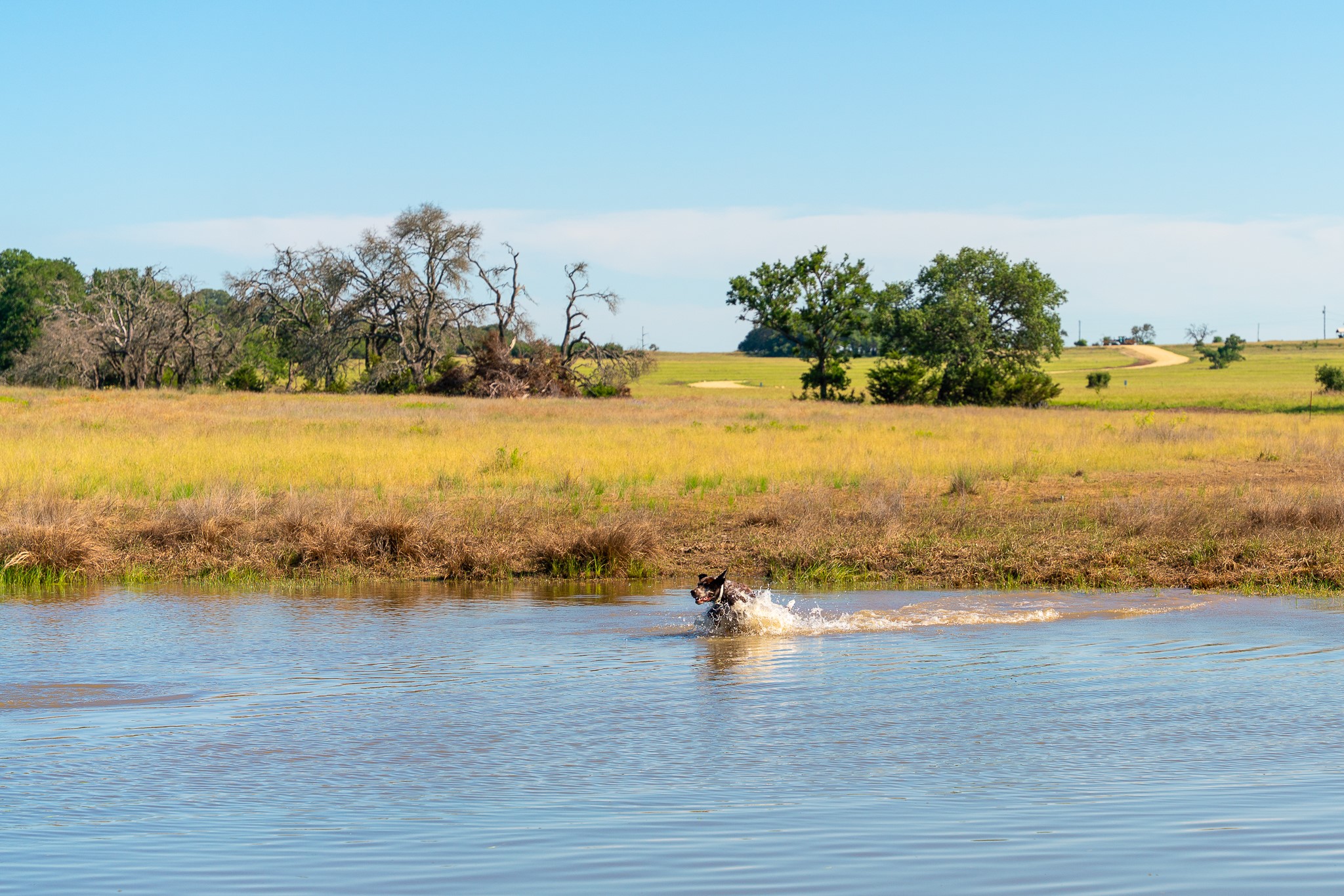 32 Feild Ranch Road Burnet, TX 78611 - Photo 36 of 40 Acres of rolling grasslands surround a placid pond, offering a serene, private setting.