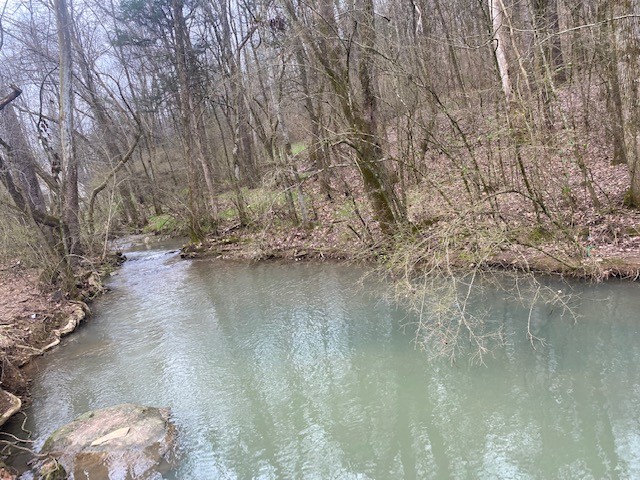 245 Loyd Road Pulaski, TN 38478 - Photo 4 of 20 a view of water with a tree