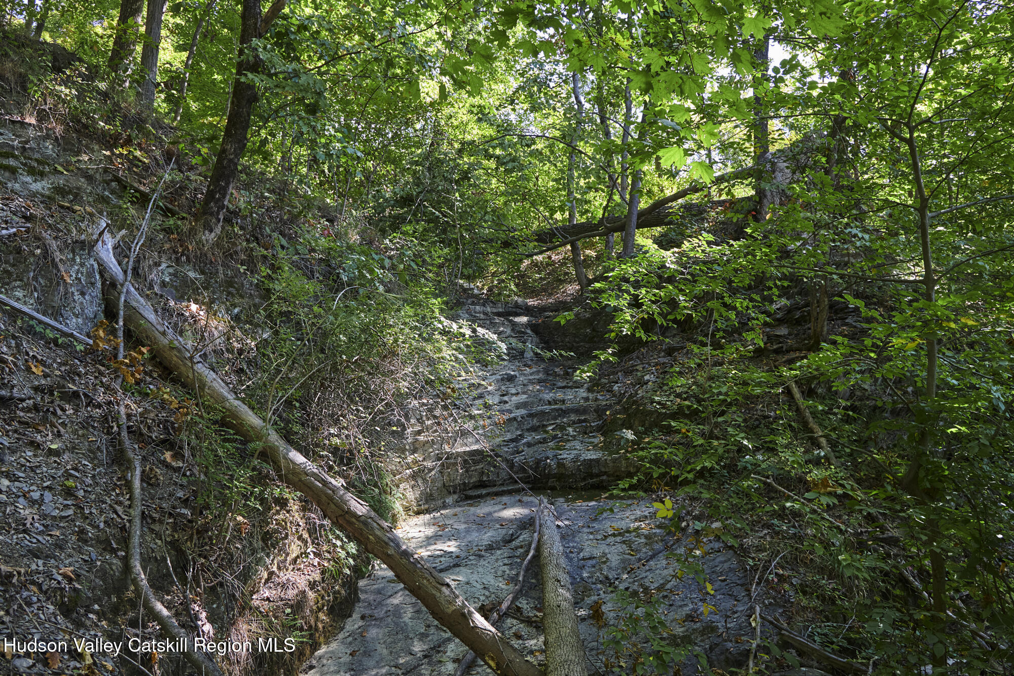 0 Mill Road Rhinebeck, NY 12572 - Photo 13 of 16 Mill Rd Property_0017