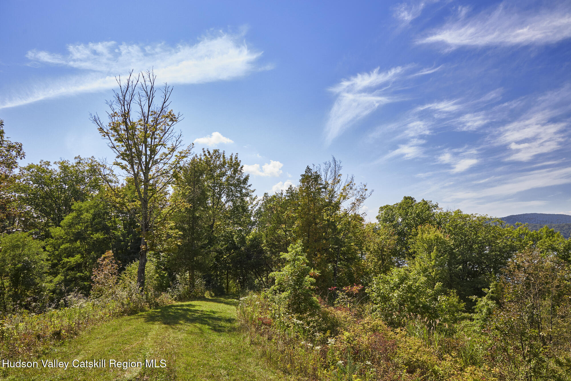 0 Mill Road Rhinebeck, NY 12572 - Photo 5 of 16 Mill Rd Property_0009