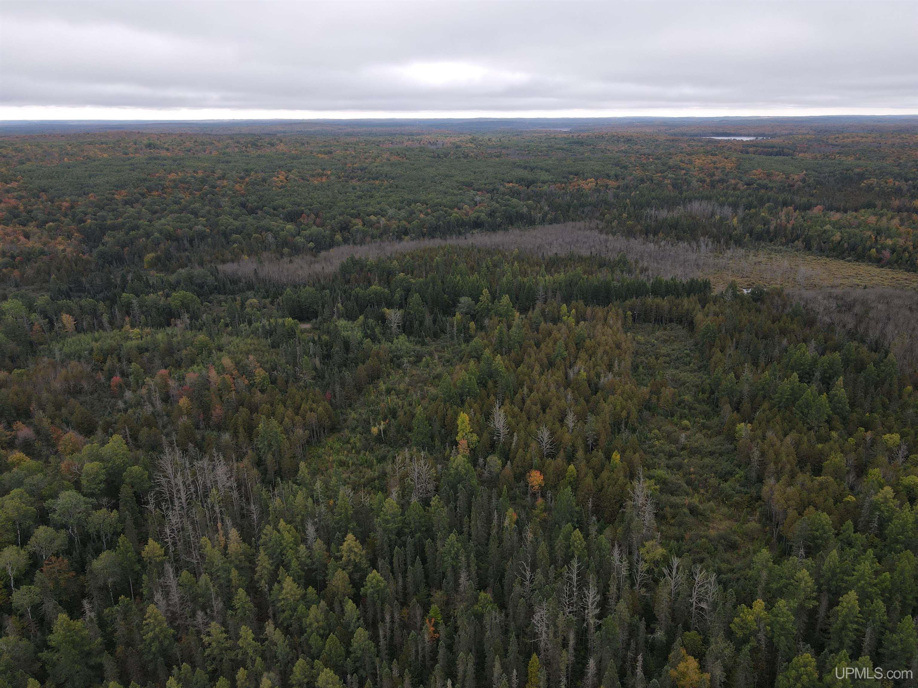 On Dunham Road Marenisco, MI 49947 - Photo 39 of 47