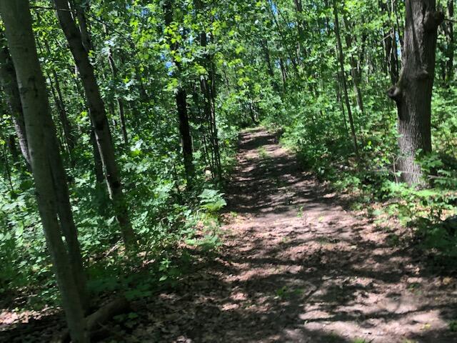 5412 Madison Road Mecosta, MI 49332 - Photo 6 of 13 Trail to waterfrontage