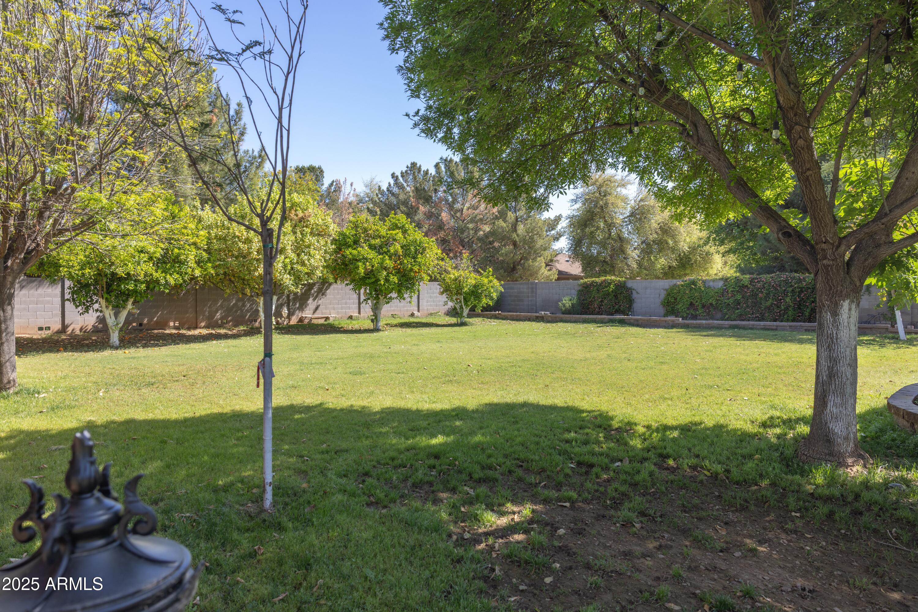 16322 East Fairview Street Gilbert, AZ 85295 - Photo 97 of 115 a view of a trees with yard