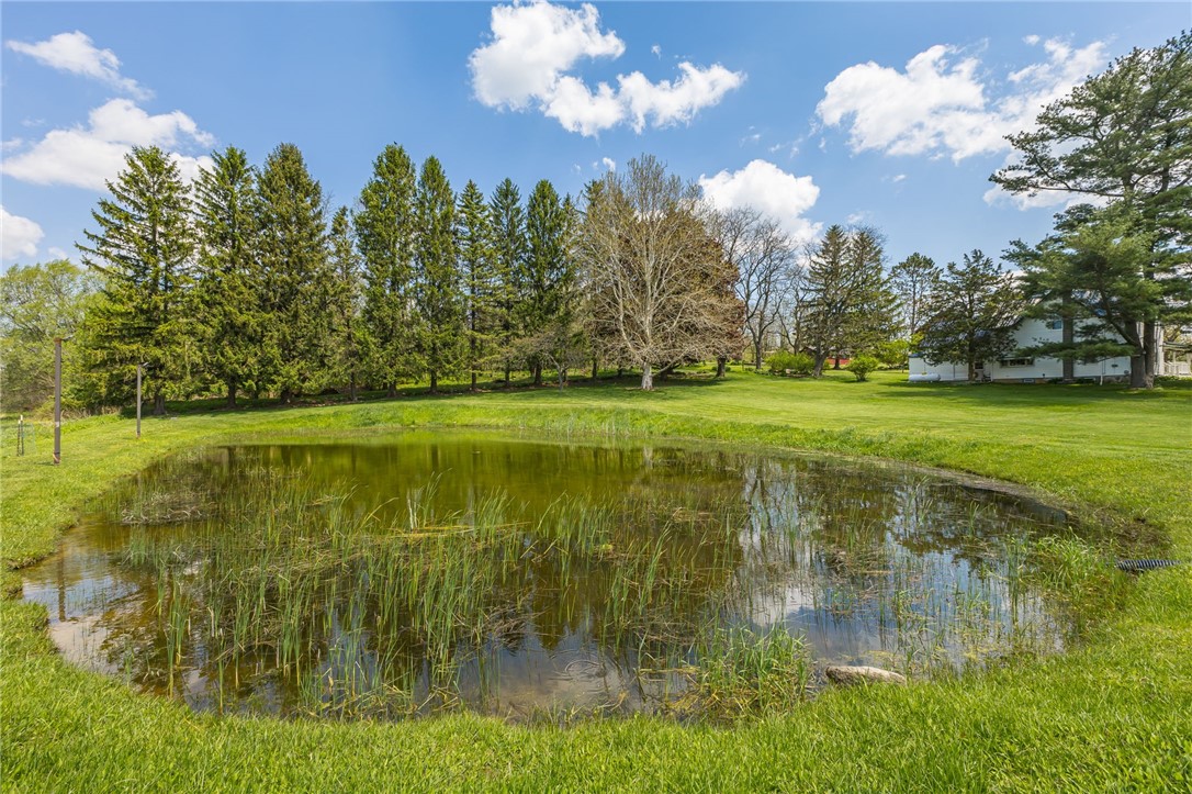 5660 Nott Road Canandaigua, NY 14424 - Photo 36 of 47