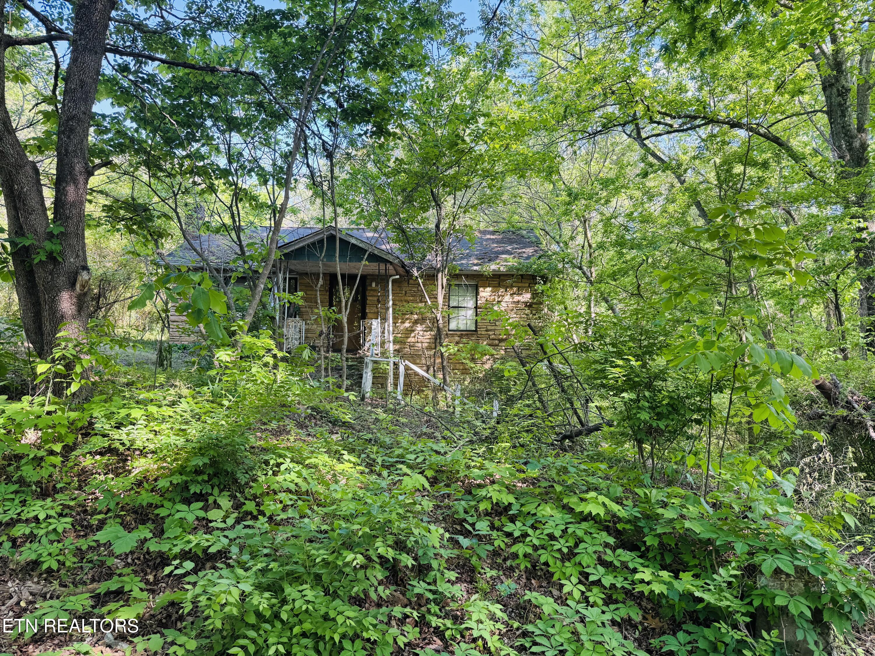 9923 Old Chestnut Ridge Road Heiskell, TN 37754 - Photo 13 of 18 FullSizeRender