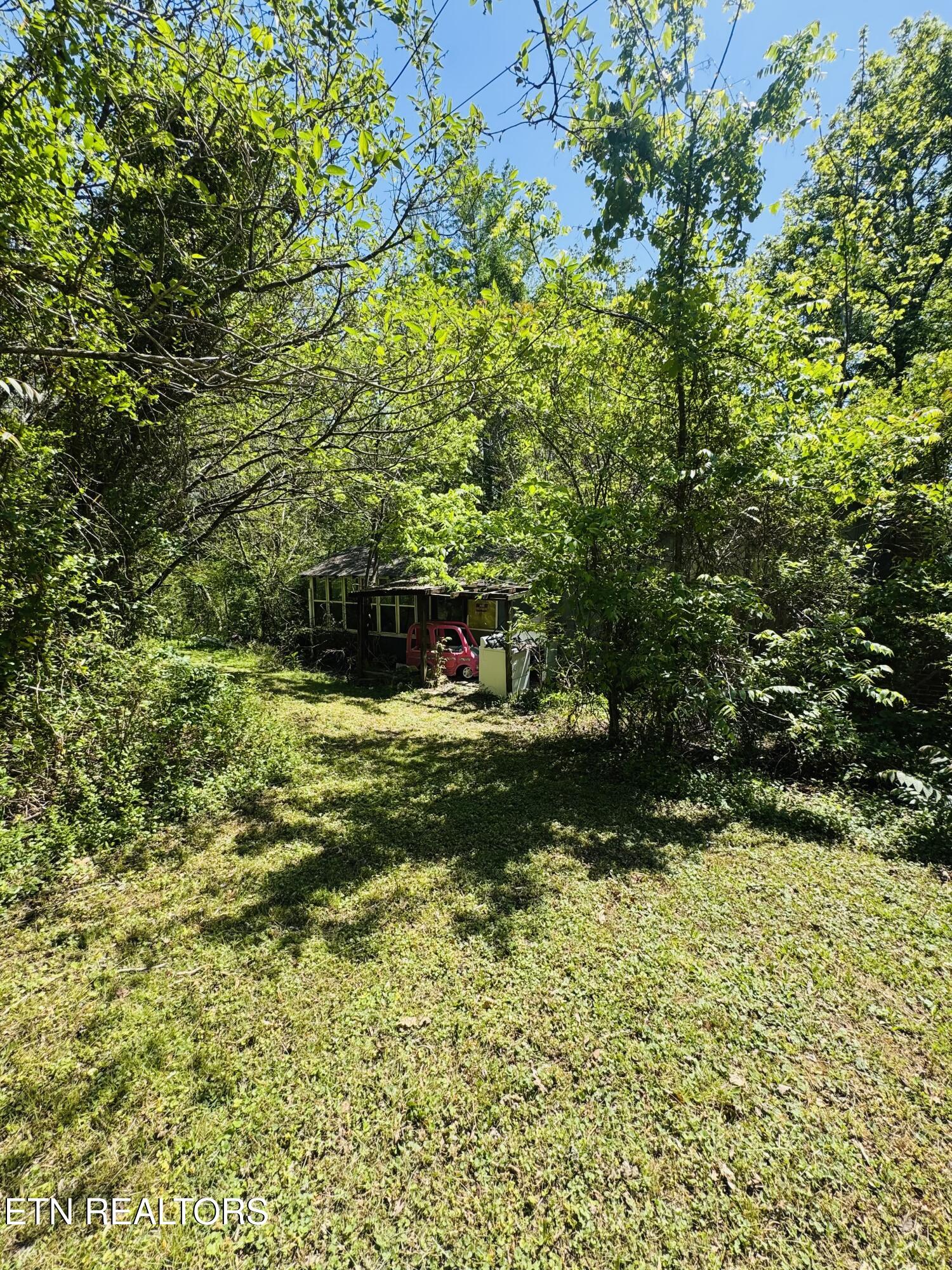 9923 Old Chestnut Ridge Road Heiskell, TN 37754 - Photo 16 of 18 FullSizeRender