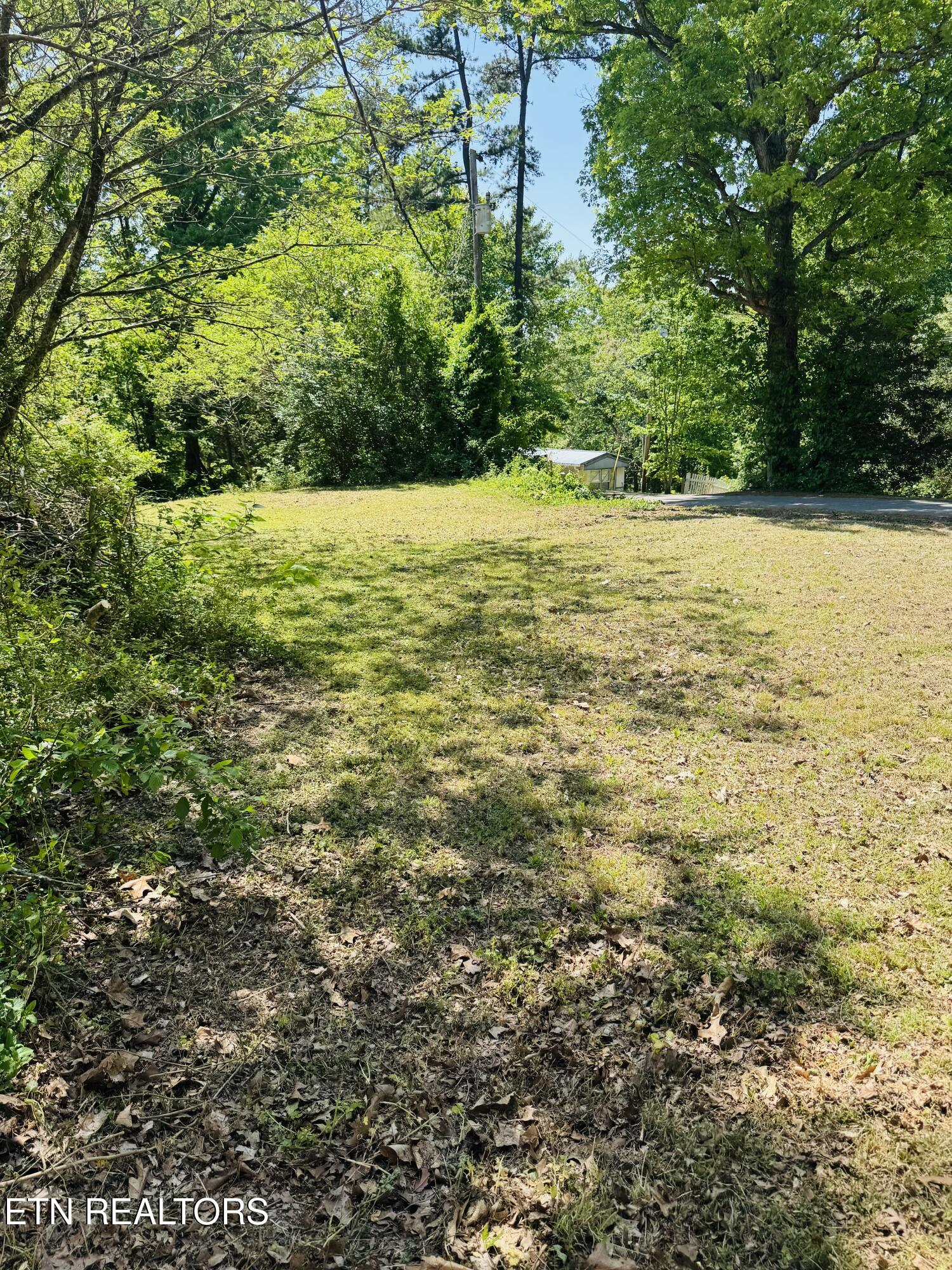 9923 Old Chestnut Ridge Road Heiskell, TN 37754 - Photo 10 of 18 FullSizeRender