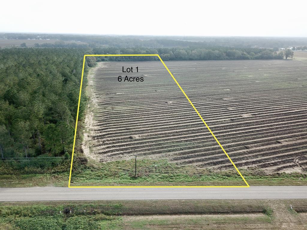 49 6-acres County Road Slocomb, AL 36375 - Photo 1 of 1