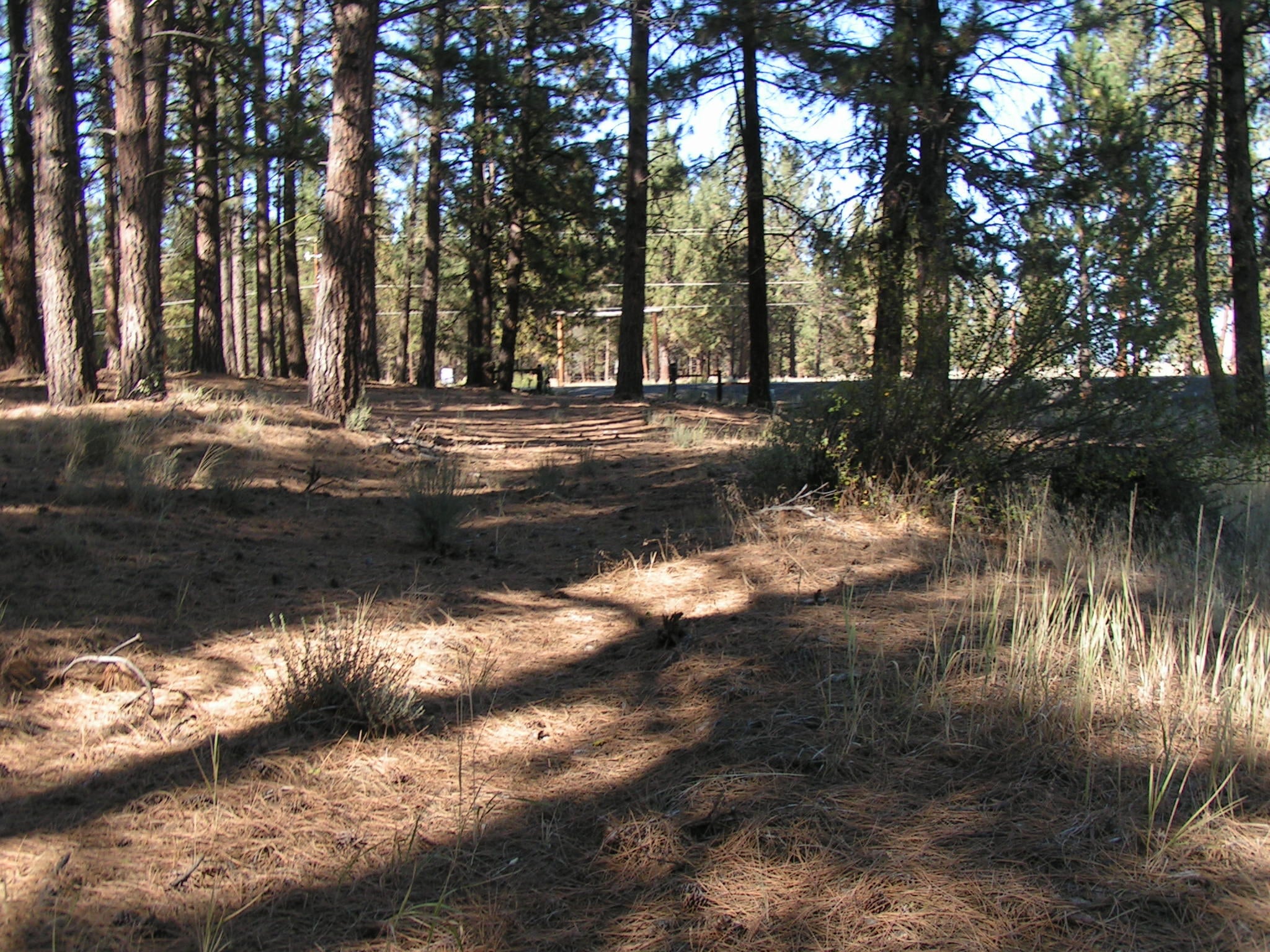 10130 Sprague River Road Chiloquin, OR 97624 - Photo 28 of 32 PICT0295