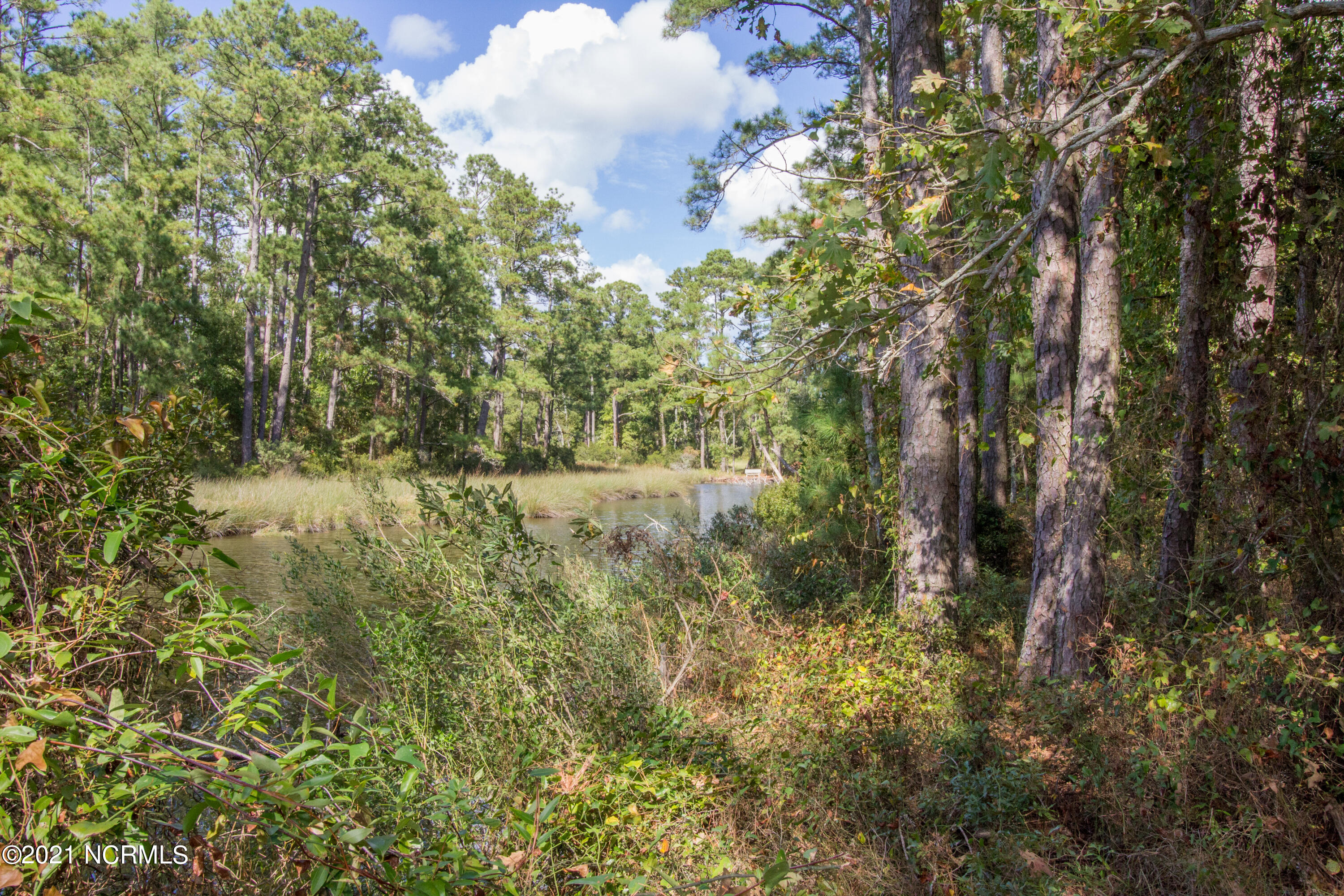 77 Wheat Patch Road Belhaven, NC 27810 - Photo 15 of 26 IMG_3542a