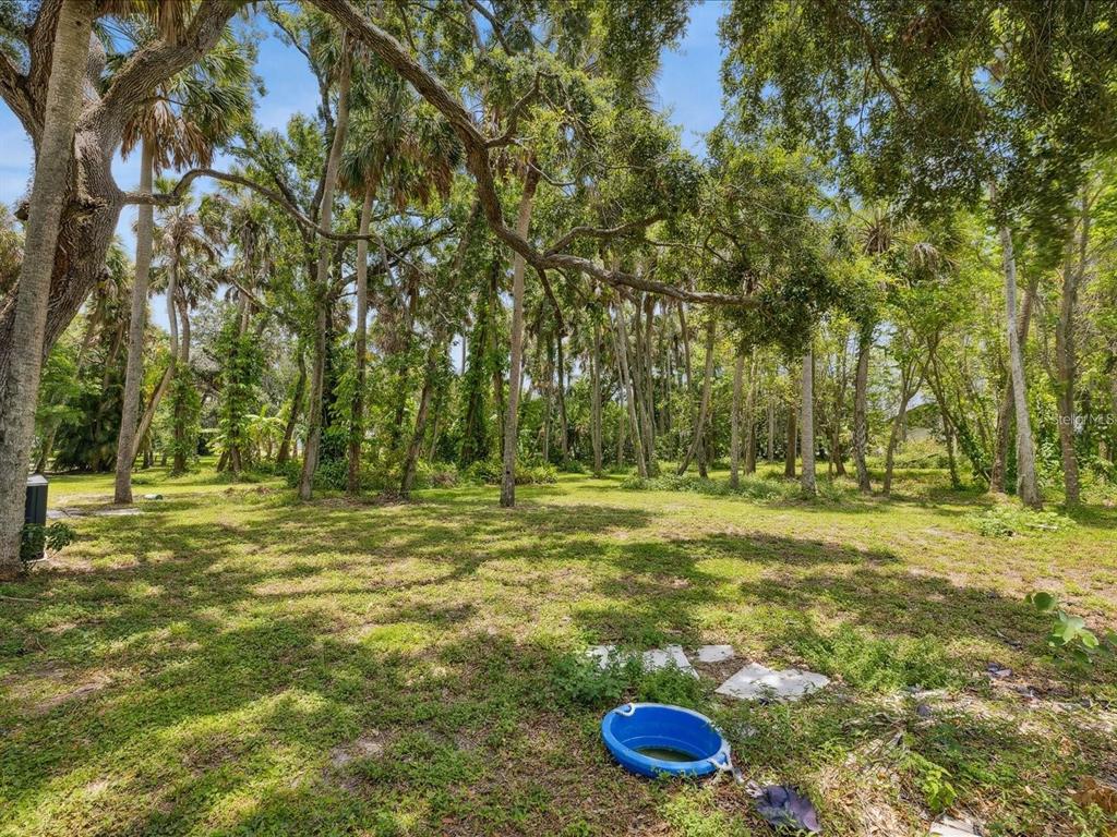 6440 Richardson Road Sarasota, FL 34240 - Photo 5 of 15 a view of a trees in a yard