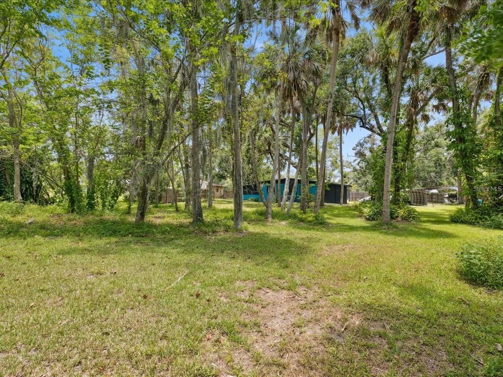 6440 Richardson Road Sarasota, FL 34240 - Photo 6 of 15 a view of yard with trees