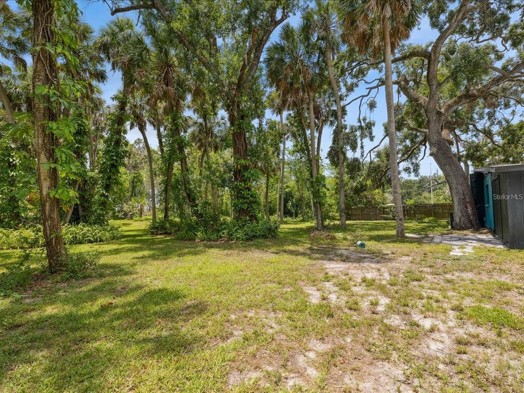 6440 Richardson Road Sarasota, FL 34240 - Photo 7 of 15 a view of a trees in a yard