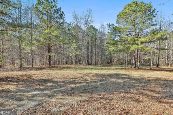 a view of backyard space