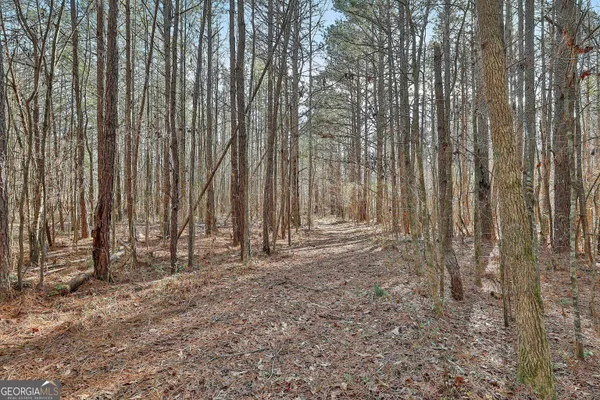 a view of backyard with tub