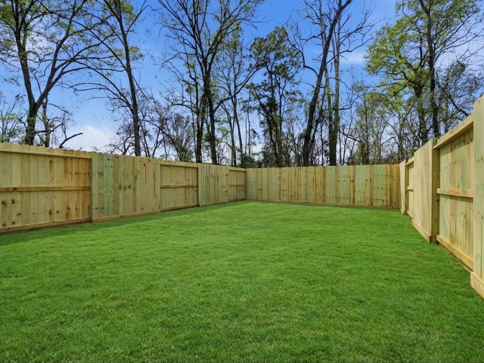 308 South 11th Street Conroe, TX 77301 - Photo 21 of 24 a view of backyard with trees