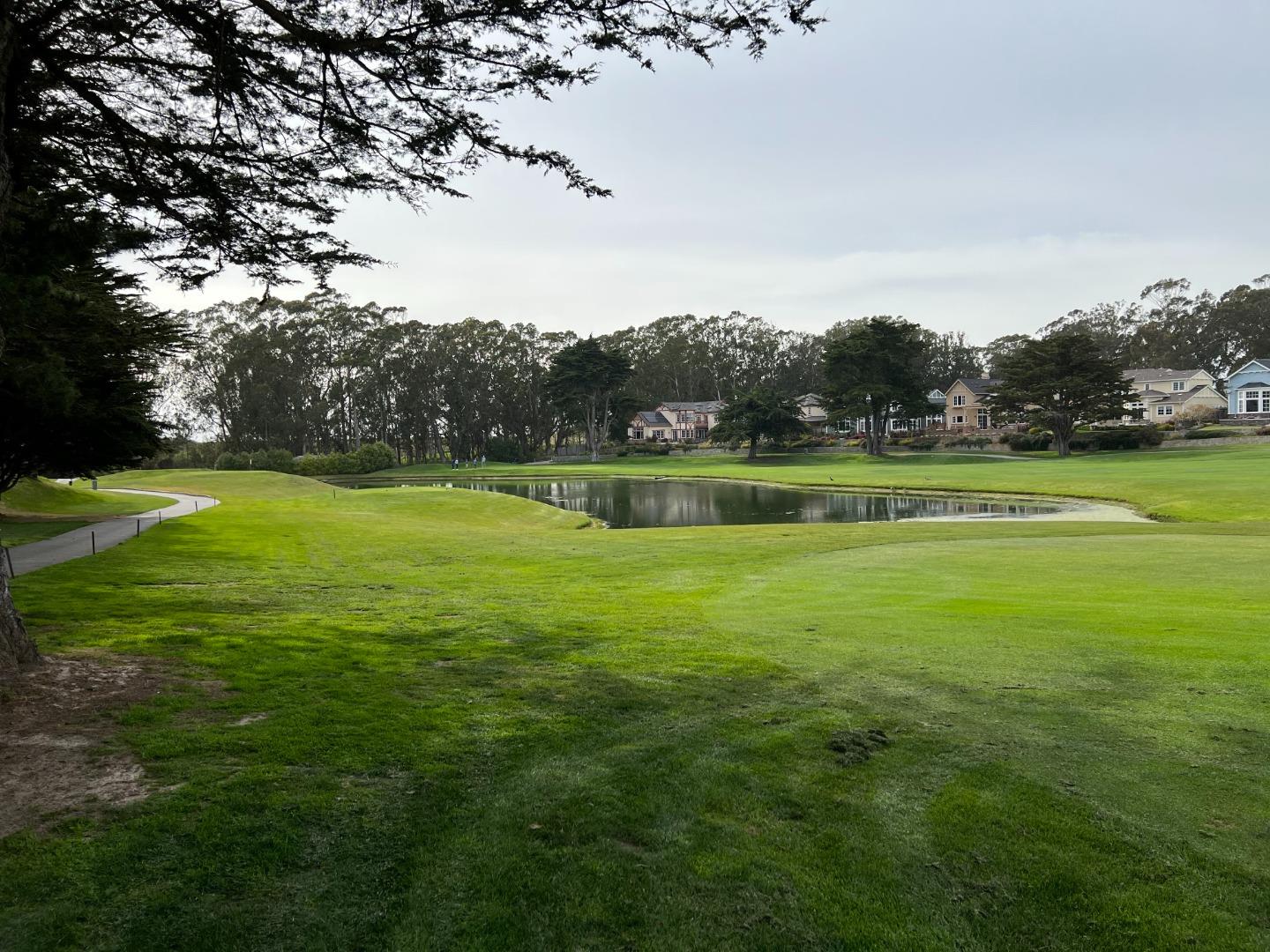 61 Turnberry Road Half Moon Bay, CA 94019 - Photo 5 of 6 a view of a big yard with plants and large trees