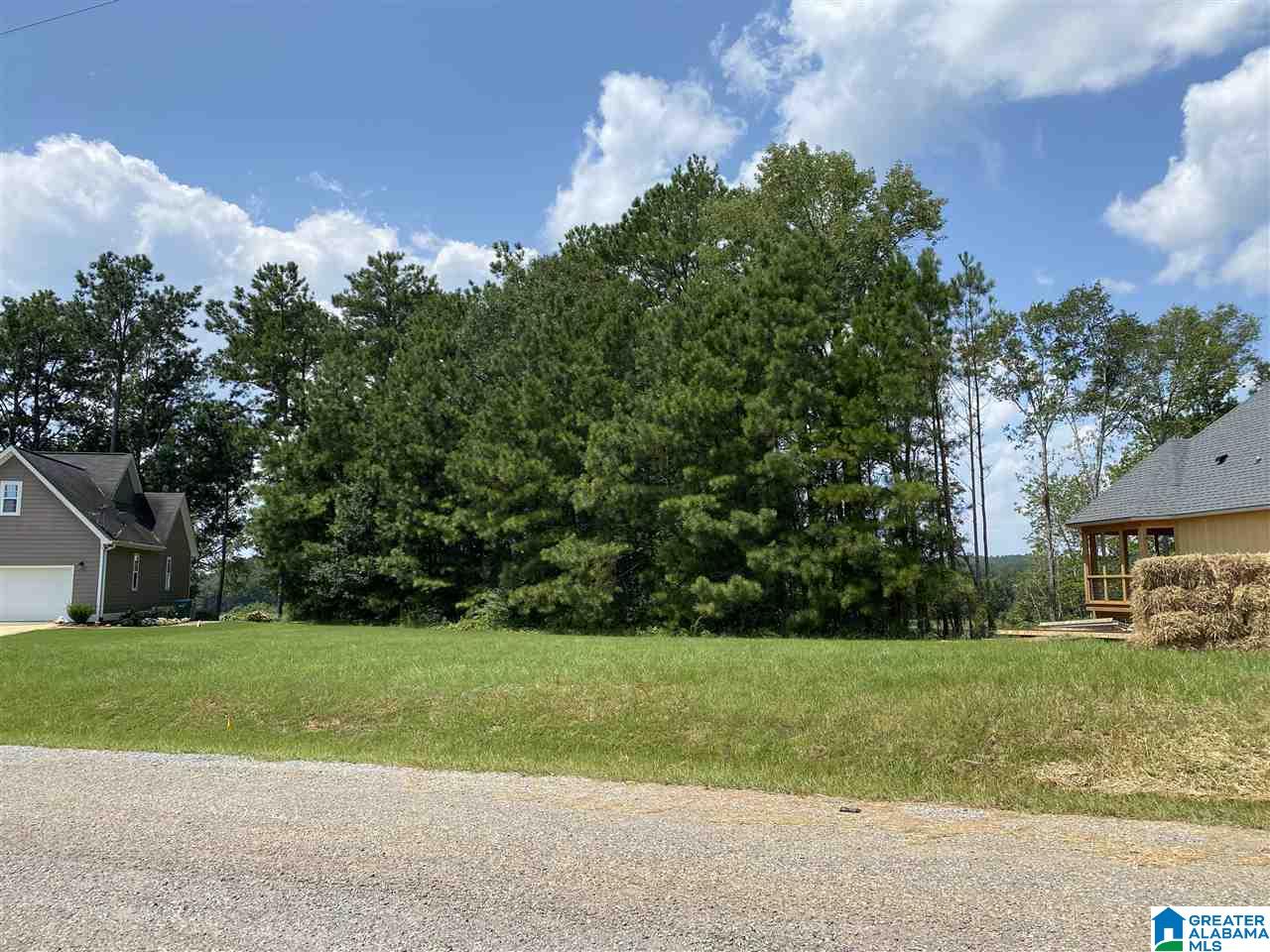 Lot 23 Cove Road, Unit 23 Sylacauga, AL 35151 - Photo 2 of 13