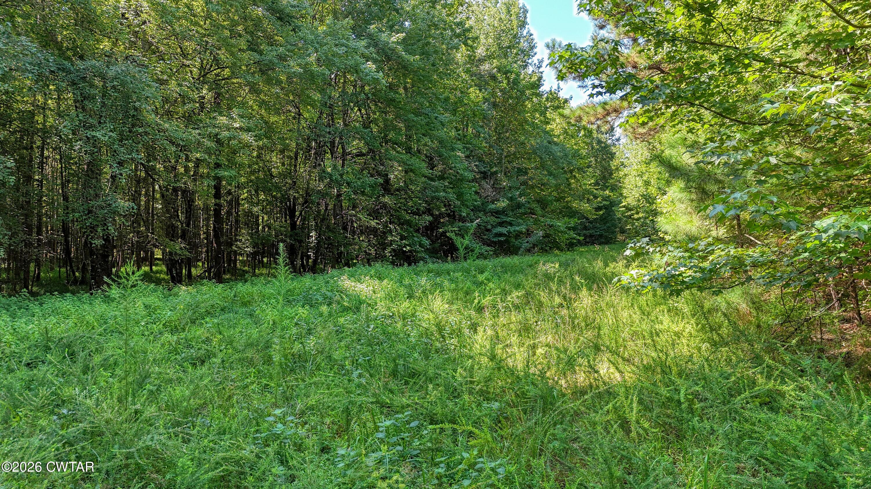 4349 Buena Vista Road Huntingdon, TN 38344 - Photo 59 of 68 DJI_20260825103851_0172_D