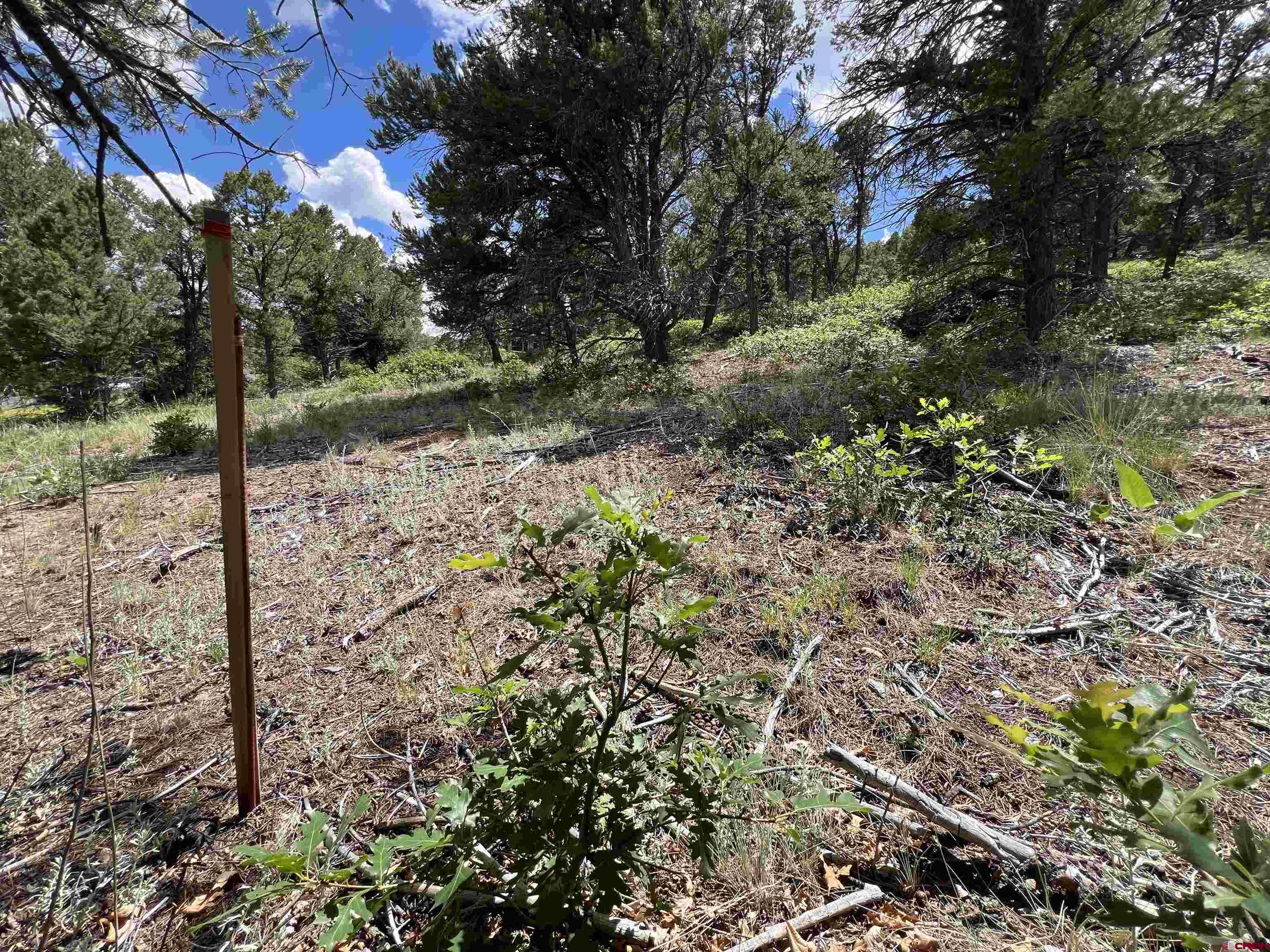 Lot 9 Pointe Escape Drive Ridgway, CO 81432 - Photo 20 of 33