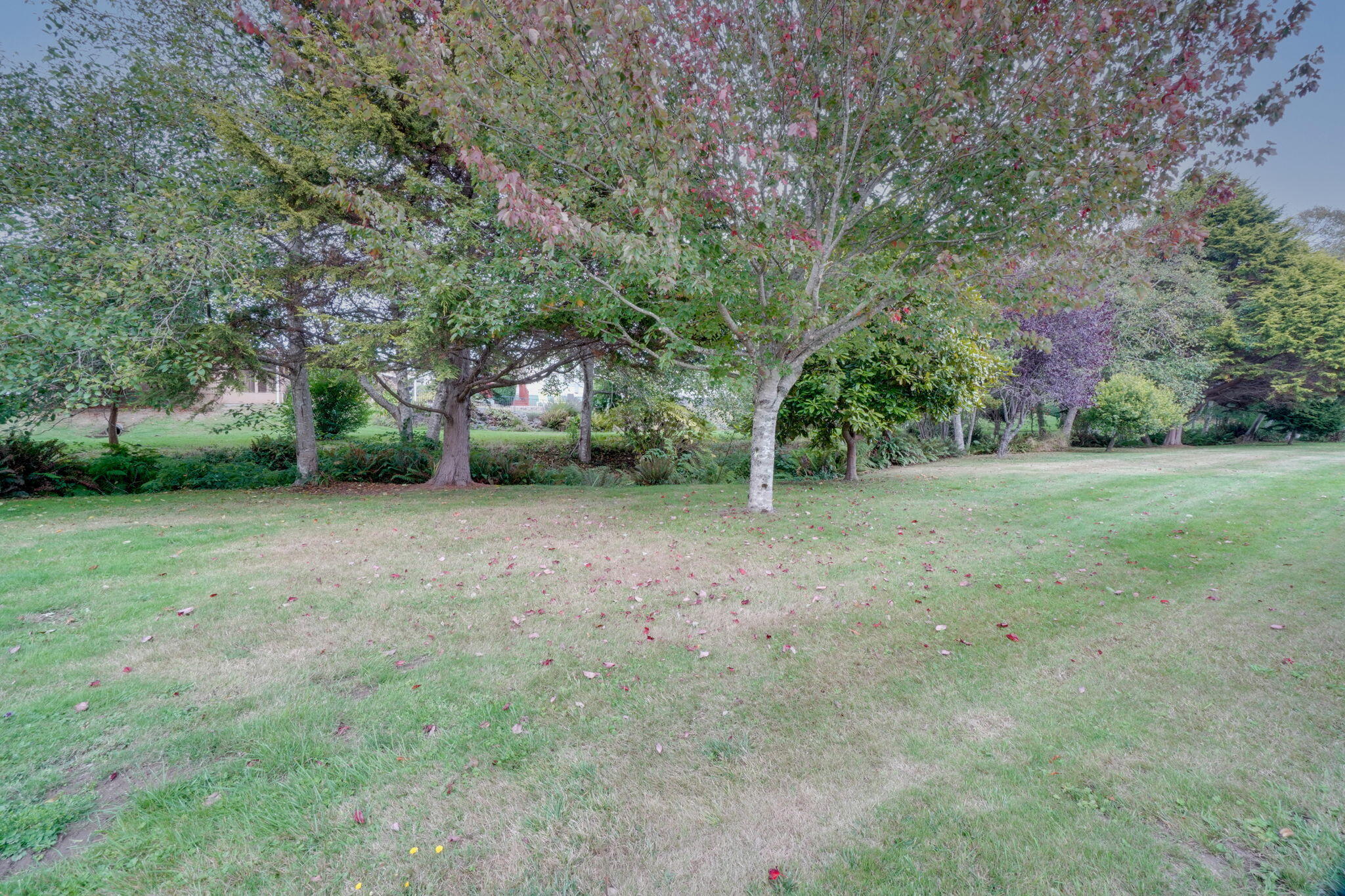1090 Murray Road, Unit 80 McKinleyville, CA 95519 - Photo 6 of 55