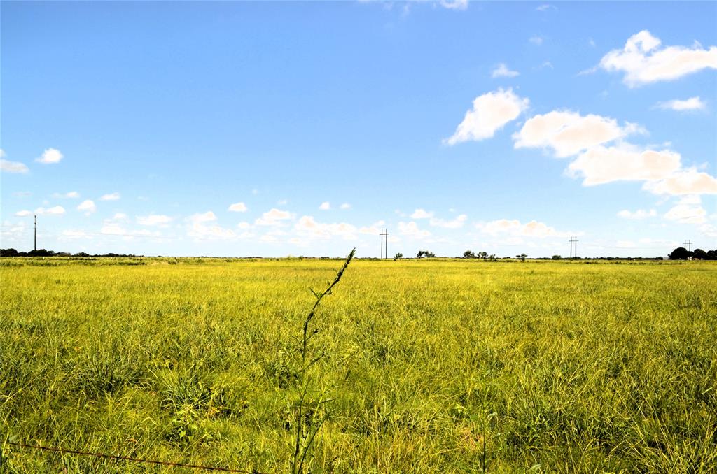 0 Tarlton Road Mabank, TX 75147 - Photo 9 of 13