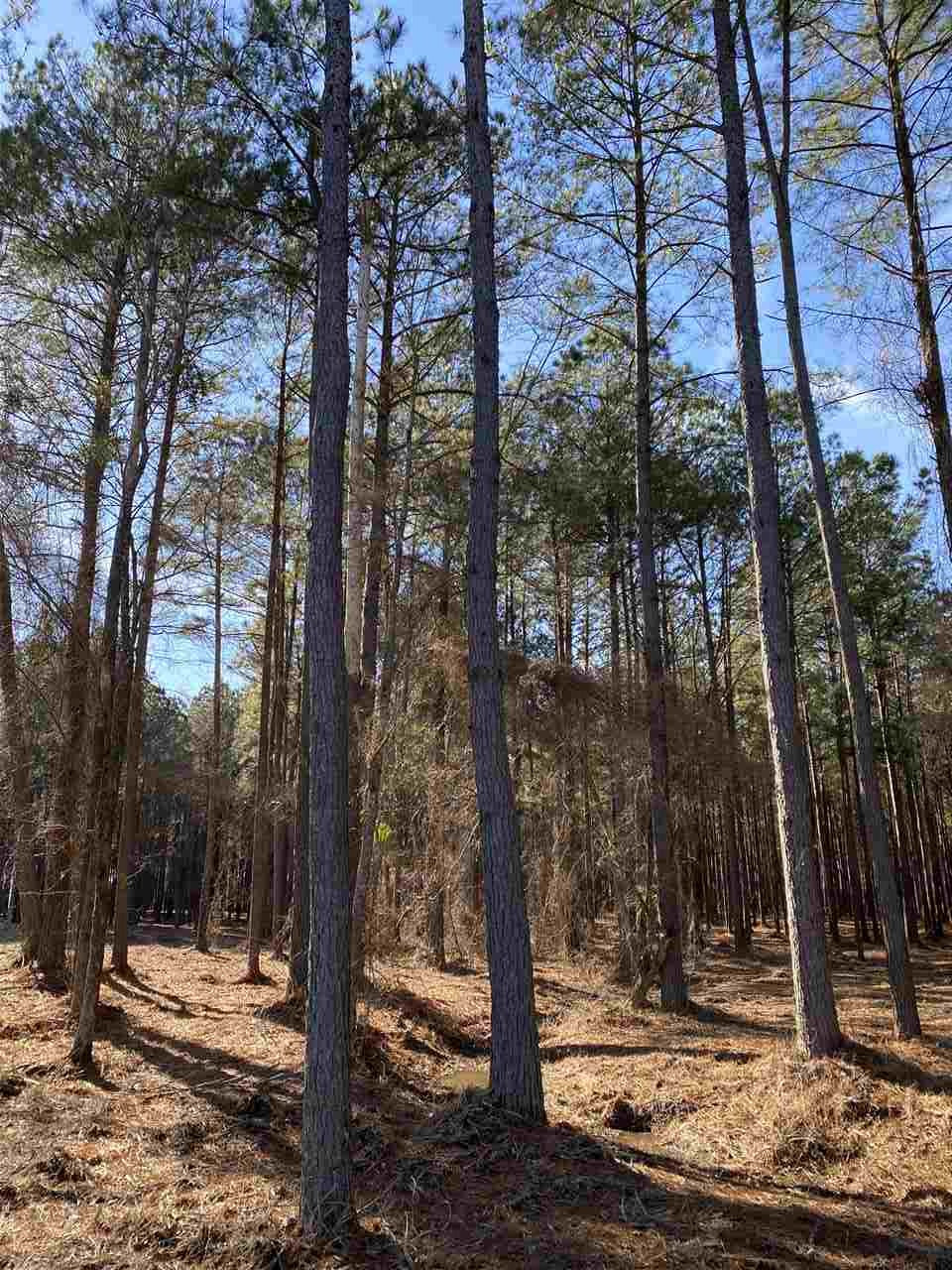 585 Stump Ridge Road, Unit 8 Brandon, MS 39047 - Photo 4 of 5 Photo 4