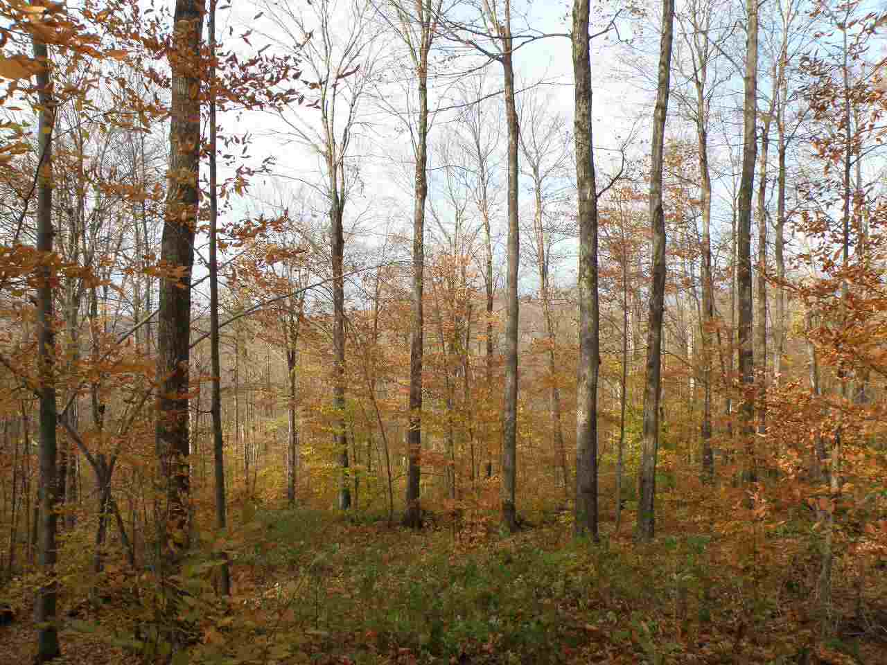 0 Happy Hollow Road Huntington, VT 05462 - Photo 1 of 8 Gallery Image 1