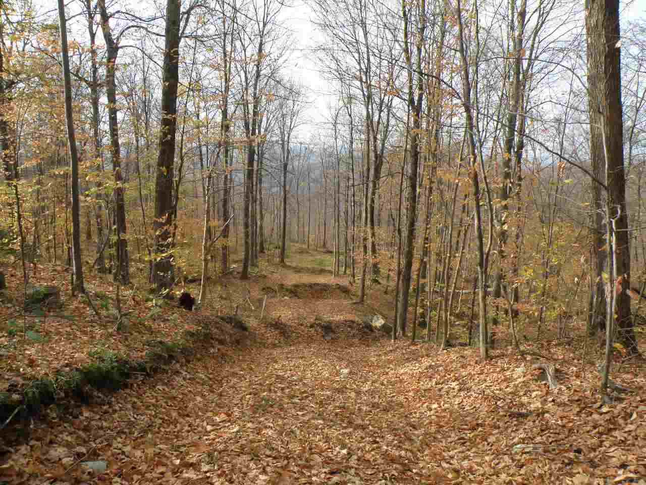 0 Happy Hollow Road Huntington, VT 05462 - Photo 2 of 8 Gallery Image 2