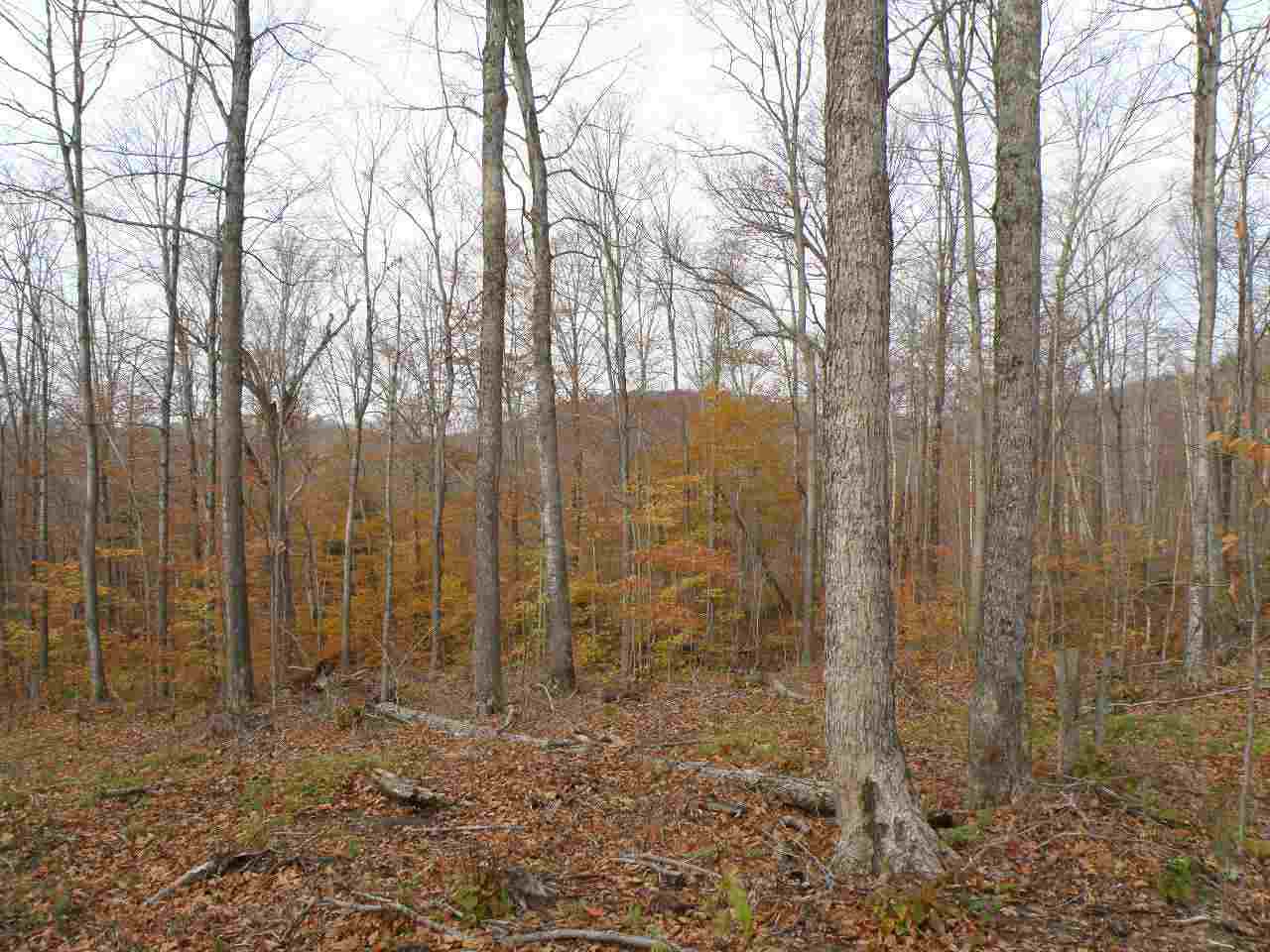 0 Happy Hollow Road Huntington, VT 05462 - Photo 3 of 8 Gallery Image 3