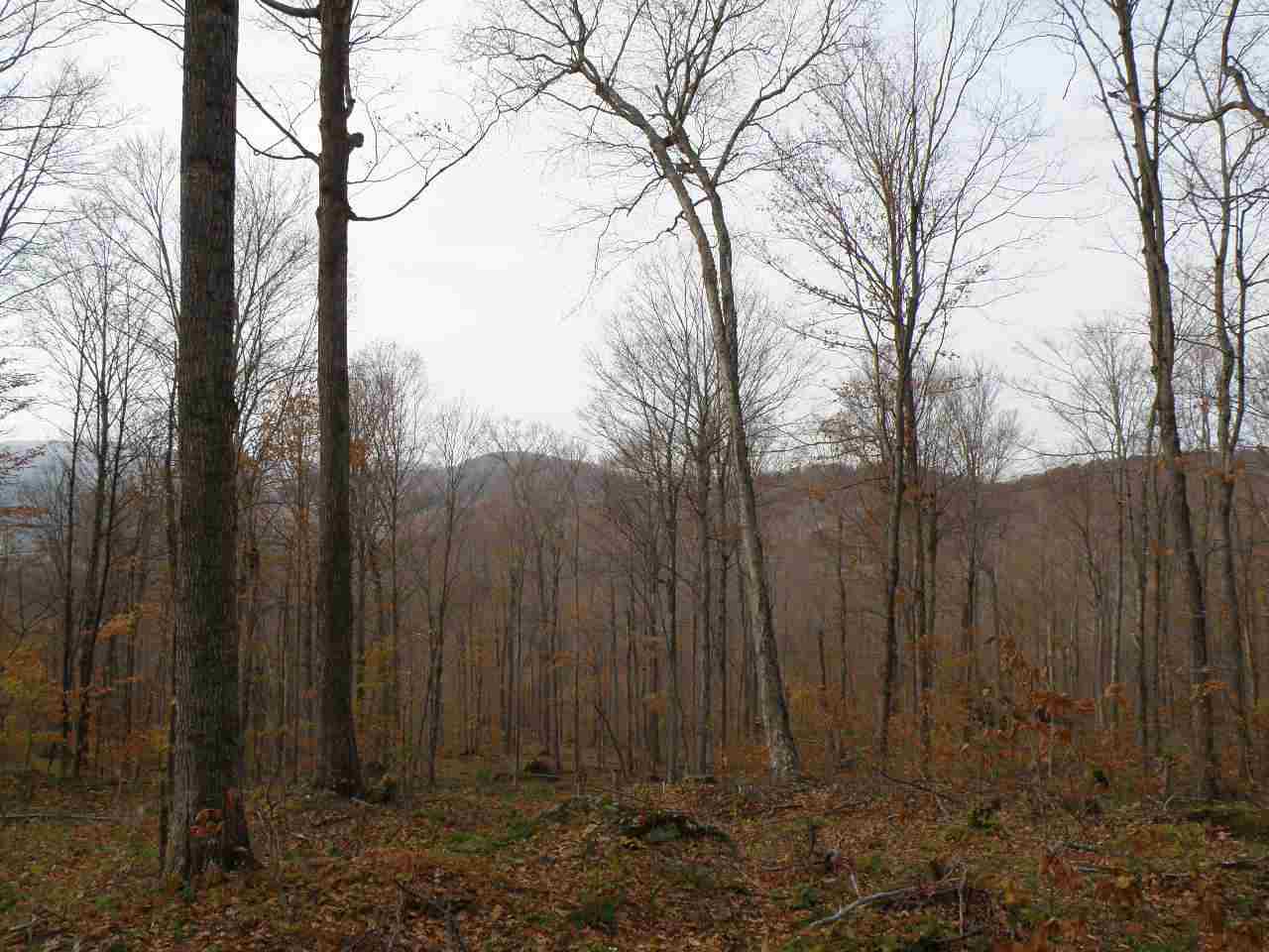 0 Happy Hollow Road Huntington, VT 05462 - Photo 4 of 8 Gallery Image 4