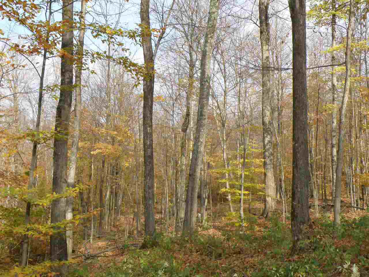 0 Happy Hollow Road Huntington, VT 05462 - Photo 5 of 8 Gallery Image 5