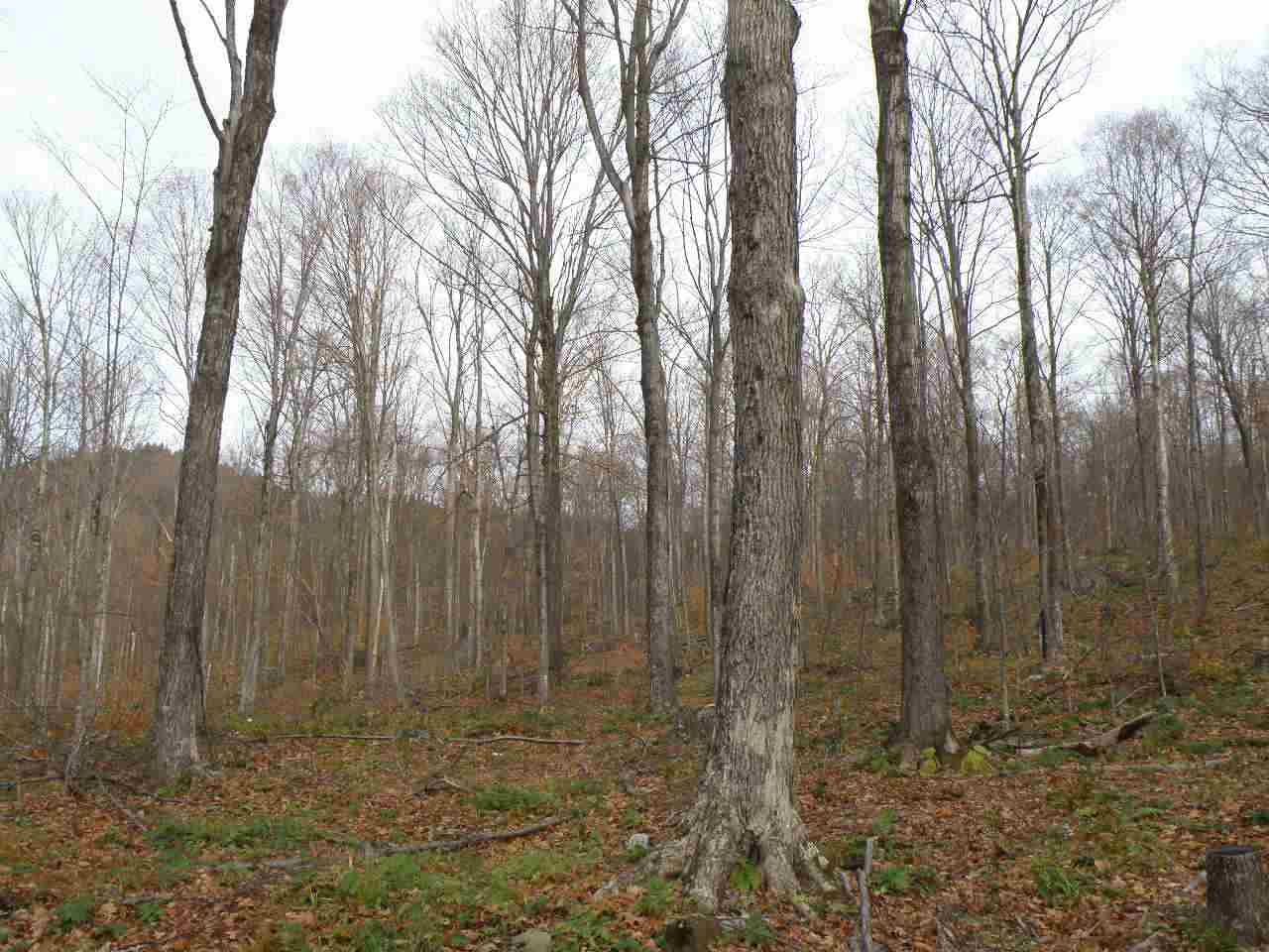 0 Happy Hollow Road Huntington, VT 05462 - Photo 6 of 8 Gallery Image 6