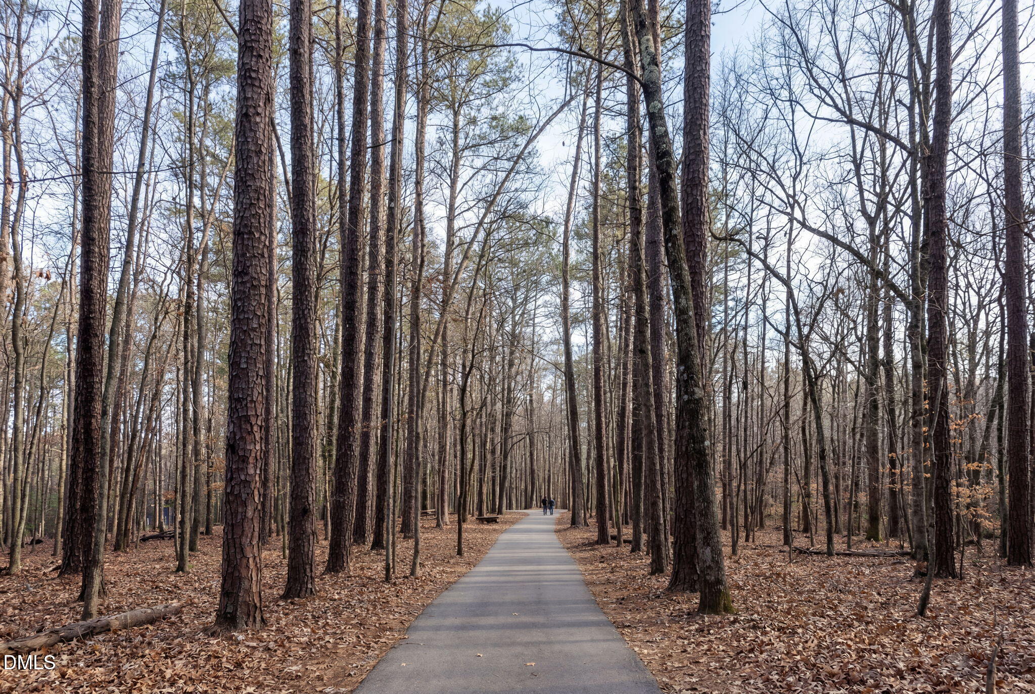 3604 Nightfall Court Raleigh, NC 27607 - Photo 63 of 79 169-web-or-mls-3604-nightfall-ct
