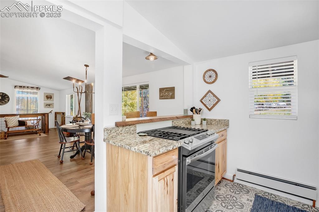 222 Nottingham Lane Divide, CO 80814 - Photo 17 of 34