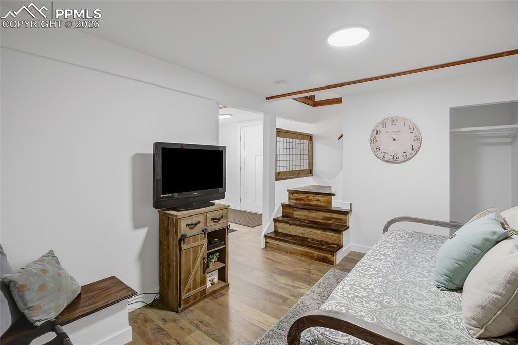 222 Nottingham Lane Divide, CO 80814 - Photo 22 of 34 Lower Level Family Room